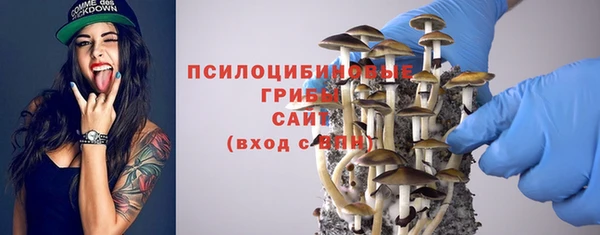 эйфоретик Алзамай