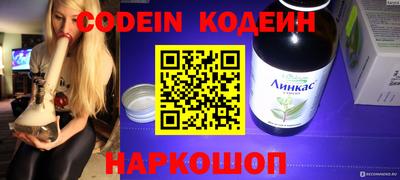 индика Тулун
