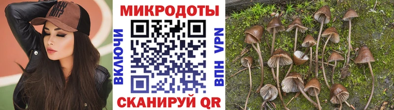 Галлюциногенные грибы Magic Shrooms  Серов 