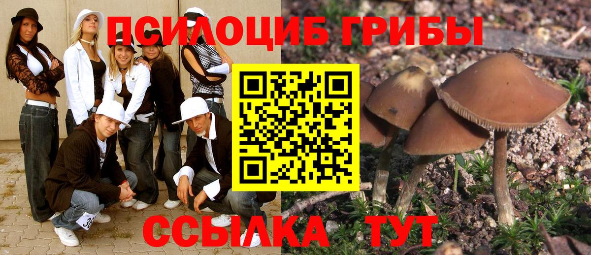 Псилоцибиновые грибы Psilocybine cubensis Серов
